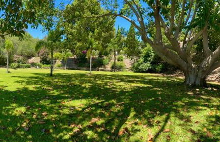 La Villa escondida - Estudio vista a la naturaleza - Foto 29