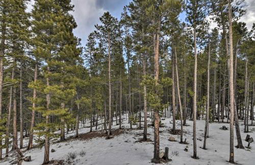 16-Acre Modern Fairplay Cabin with Mountain Views! - Foto 34