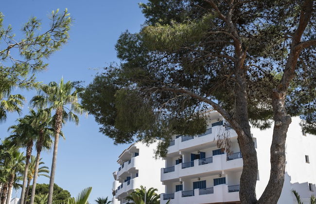 Mallorca Cecilia - Photo 66