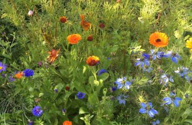 Pretty sunny cottage, Machynlleth - Photo 15