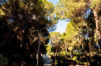 Open view Pinetree penthouse - Foto 15