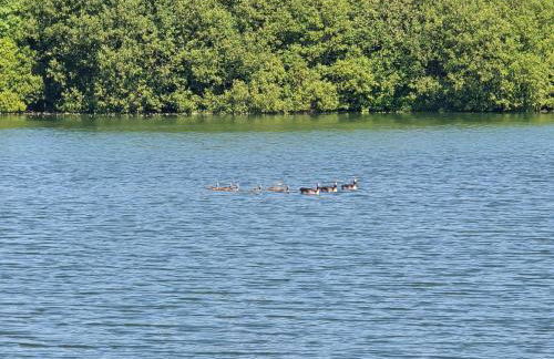 Newly Renovated Country Cottage - Foto 31