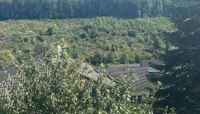 Ferienwohnung Lindenberg - Foto 2