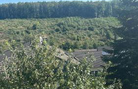 Ferienwohnung Lindenberg - Foto 2