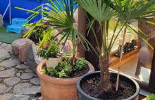 Apartament Skórcz Kociewie Pomorze Gdańskie Agroturystyka - Foto 20