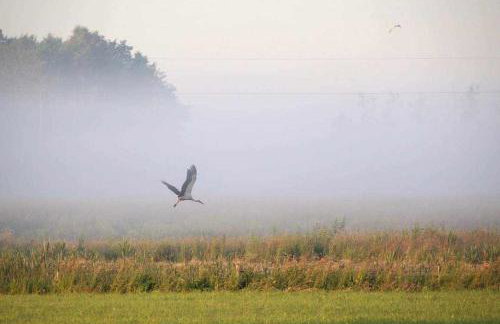 Stara Stolarnia - Foto 54