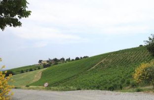 Agriturismo Gaggioli Borgo Delle Vigne - Foto 73