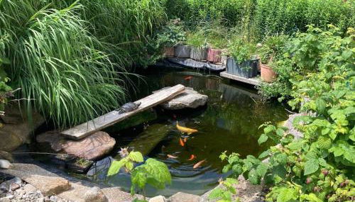 Haus Ruhland - Photo 4