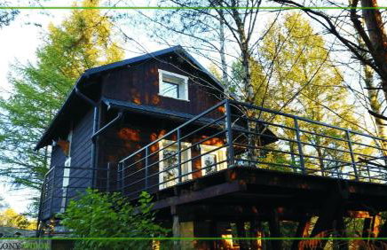 Domek Zielony Widok - noclegi Bieszczady - Foto 2