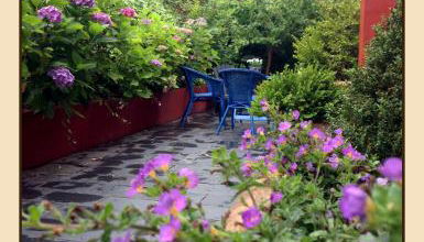 Apartamentos Guidan - Foto 3