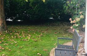 Ferienwohnung Südpfalz mit Fernblick - Foto 19