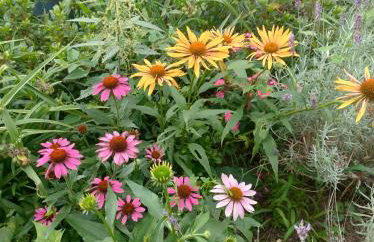 DOMEK W JERSEY PRZY PLAŻY - Foto 56