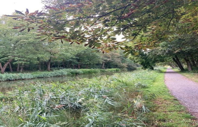 Country House in Poperinge Near WWI Sites - Photo 42
