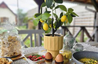 Błękitny Domek- dom i dwa oddzielne apartamenty - Foto 9