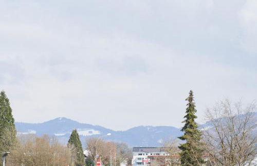 ApartWehr Business&Ferien Apartment Türkis - Foto 9