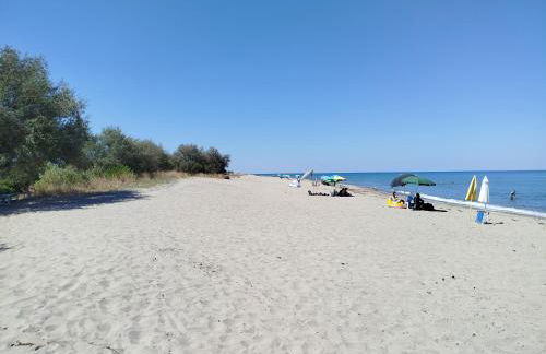 Harmony Apartments - Foto 48