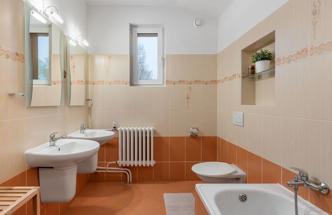 Desná v Jizerských horách - Foto 28