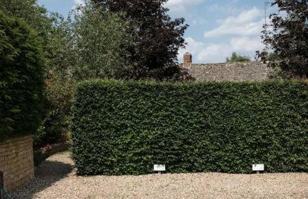 Two Rose Walk Cottage Cotswolds - Photo 40