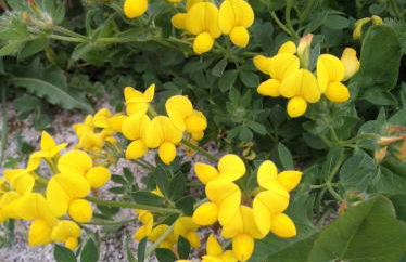 Agriturismo Il Melo - Foto 6