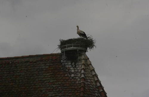 Gite duplex du vignoble Alsace - Foto 29