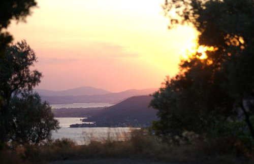 Vergonis Studios - Photo 43