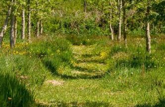 Ty Pren Bach - Foto 18