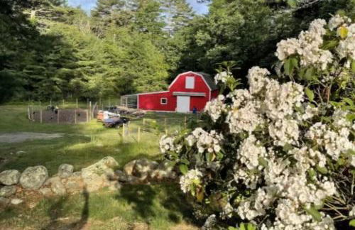 The Giddyup Getaway at The River Haven Sanctuary - Foto 15