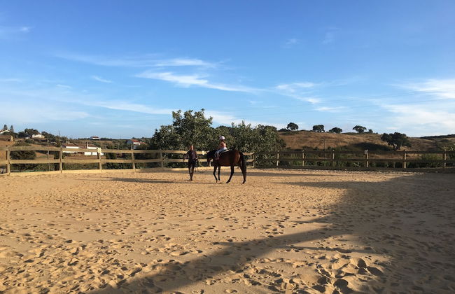 Tons da Terra - Foto 74