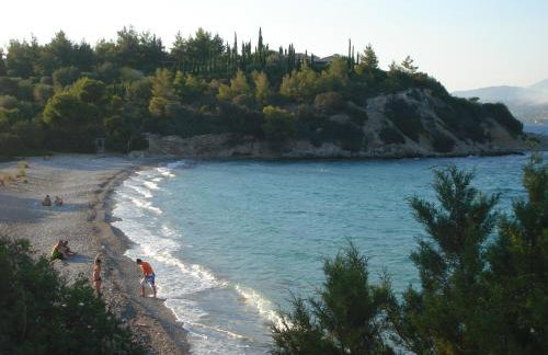 Zoe Pension - Foto 43