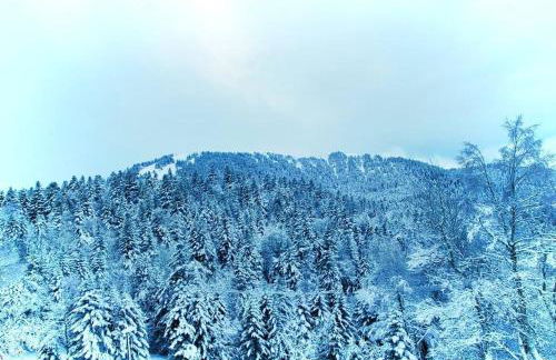 Logement 6 pers au cœur des montagnes pyrénéennes linge de maison et papier toilette non fournis - Foto 37