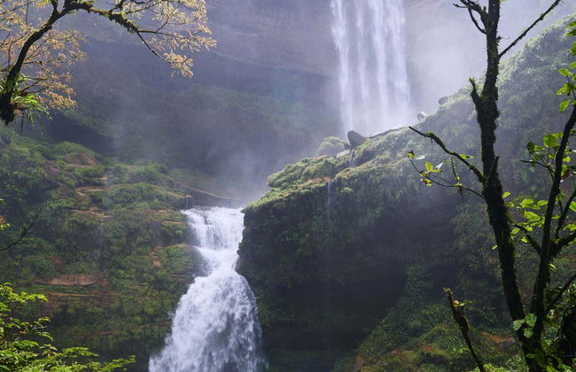 Escursione a Chanchamayo e San Ramón - Foto 3