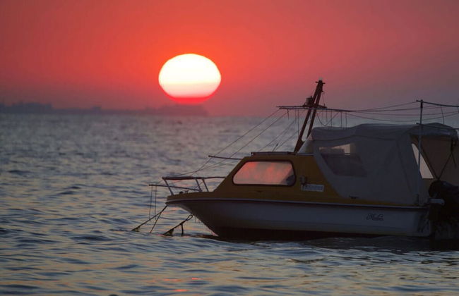 Sea View Modern Retreat - Photo 8