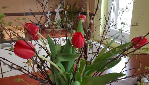 Domki i Apartamenty Rogate Anioły - Foto 3