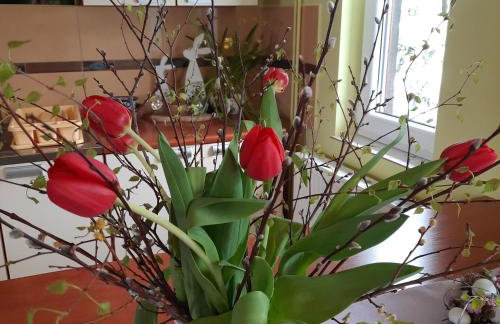 Domki i Apartamenty Rogate Anioły - Photo 3