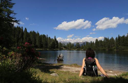 Residence Alpenrose - Foto 73