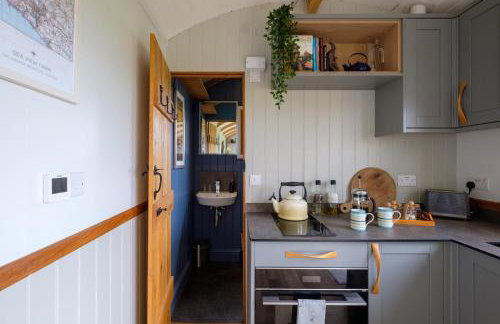 The Acorn - Luxury Shepherds Hut hot tub panoramic views - Foto 38