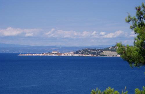 Villa del Golfo - Foto 13