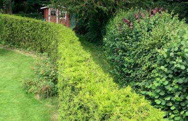 Ferienwohnung Wentorf Amt Sandesneben - Foto 26