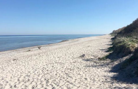 Die Ostseeperle mit Pool - Photo 25