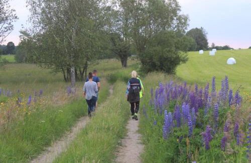 Żywkowo Bocianie Gospodarstwo Rolne - Foto 23