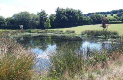 Orchard Lodge - Photo 33