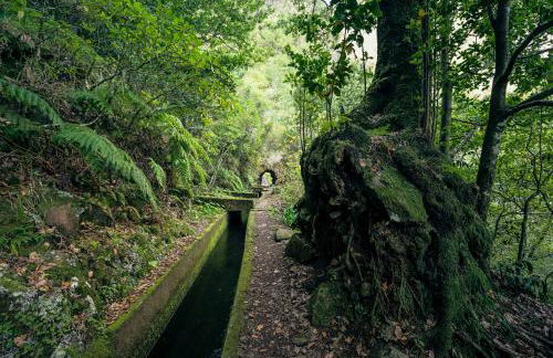 OurMadeira - Chalet Prazeres - Foto 21