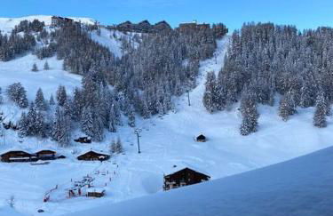 Résidence le DORONIC Duplex 8 pers La Plagne 1800 - Foto 55