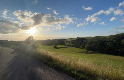 Ferienhaus Deine Zeit mit SAUNA und WALLBOX - Photo 26