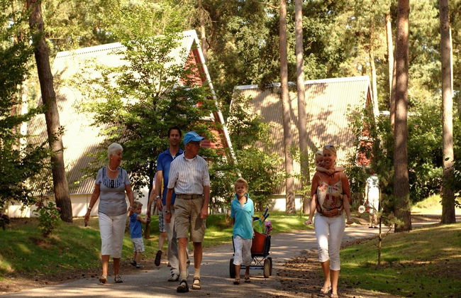 Bungalow in Natural Surroundings - Photo 15