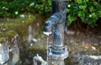 Gutshof Familie Gress - Foto 19