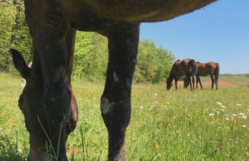 Le Buscagneau - Photo 37