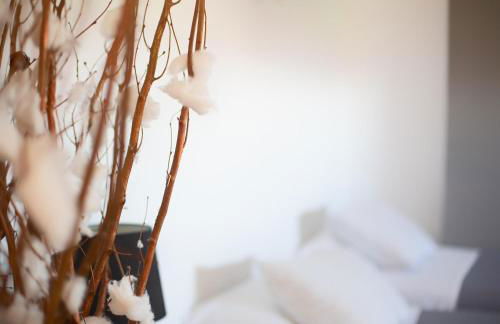 TOLETUM low cost LOFTS diáfanos o 2dormitorios PARKING Municipal Gratis al aire libre a 100m - Foto 77