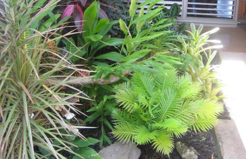 Ground Floor & ac - kbv11g2 - Sullivan Properties - Photo 35