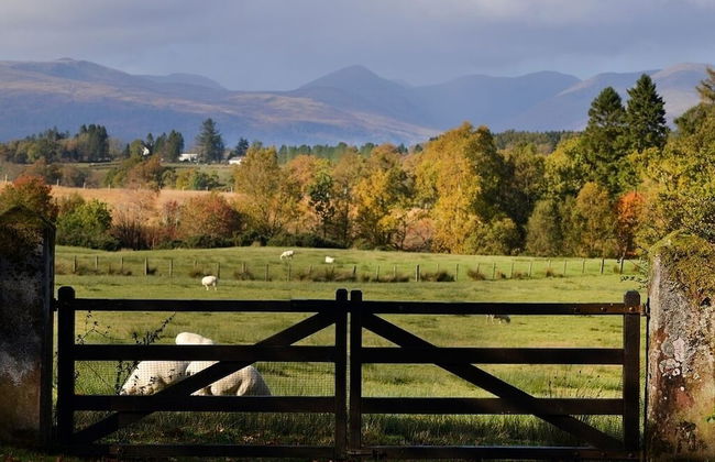 Finnich Cottages - Photo 49